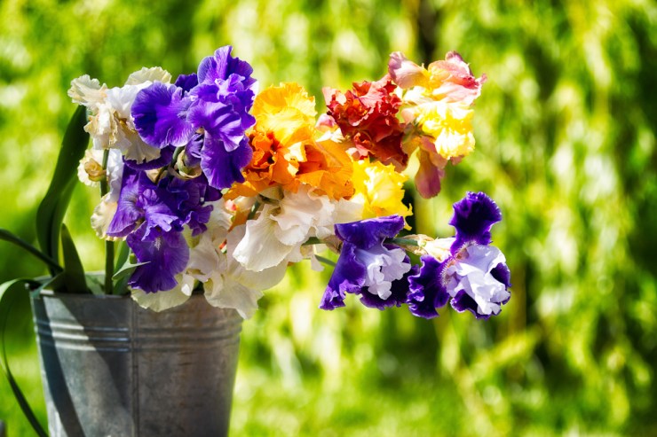 2012 Project 366 Day 126