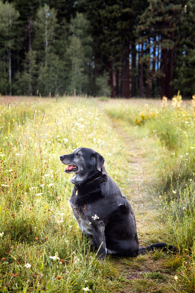 20110801-_MG_9107-Edit web