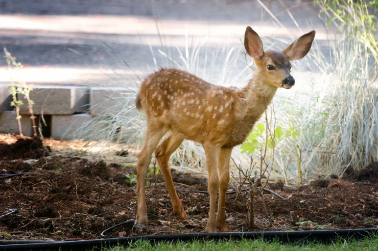 20120803-_MG_2996-Edit web