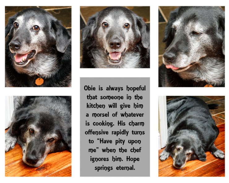 hope springs eternal