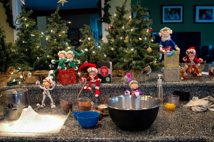 New Elf on the block