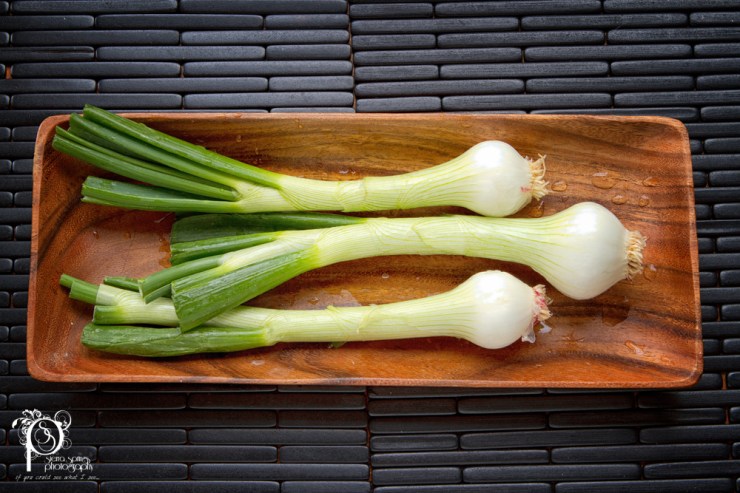 20120217-_MG_4486-Edit2 web