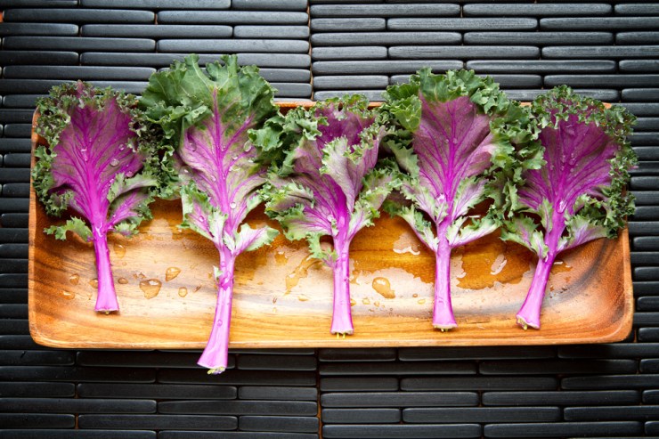 20120217-_MG_4494-Edit2 web