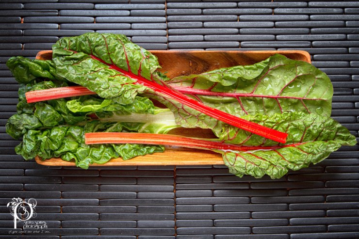 20120217-_MG_4504-Edit2 web