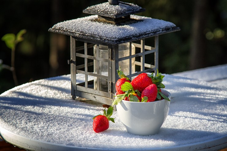 20130208-_MG_6287 web