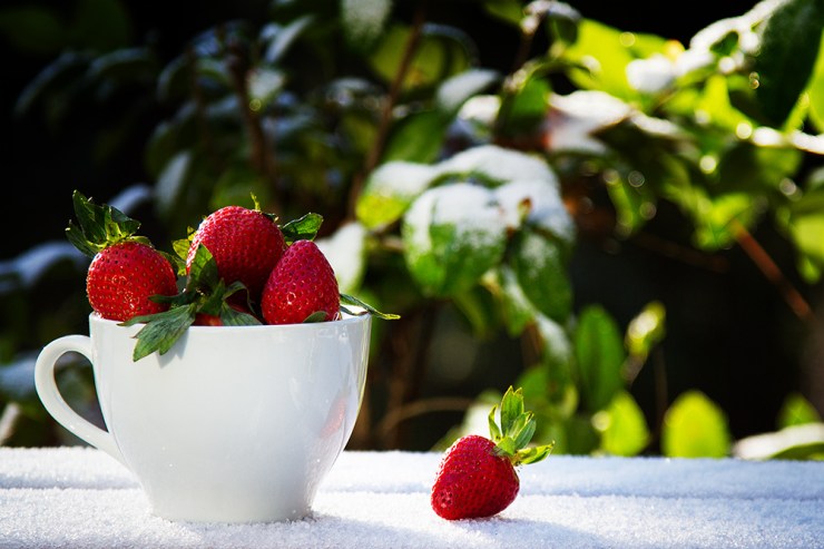 20130208-_MG_6301 web