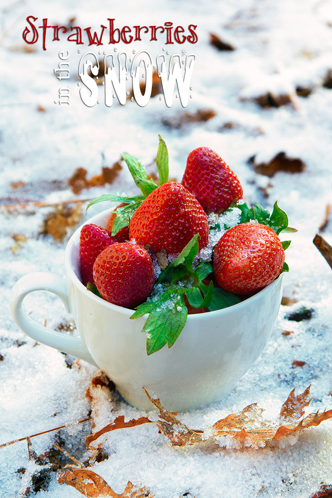 strawberries snow web