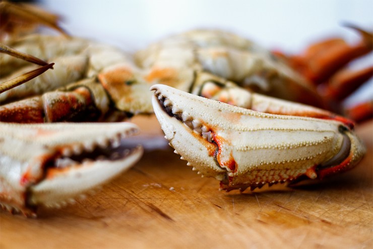 They will snap your finger off