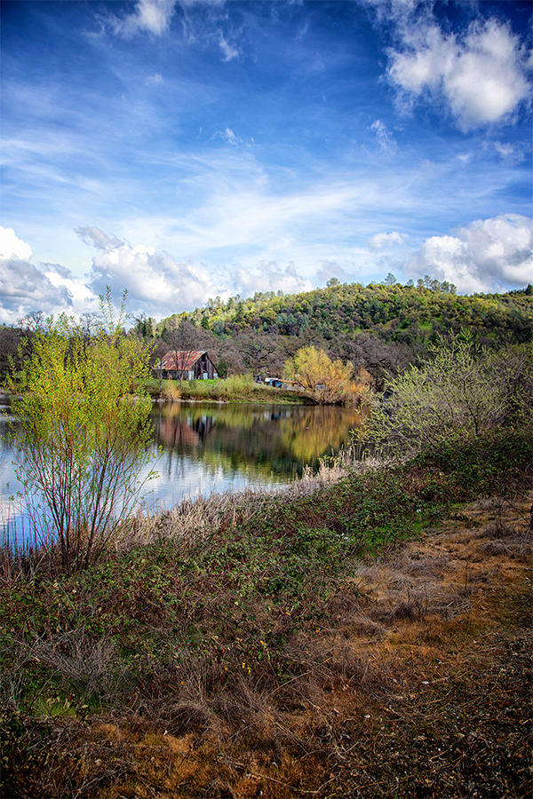 Beautiful Spring Day