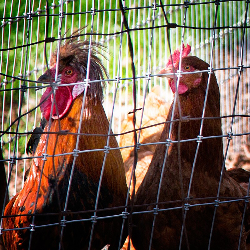 20130327_KLS_89-64 web