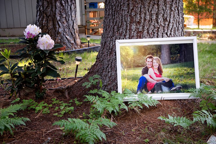 Large Photo in the garden