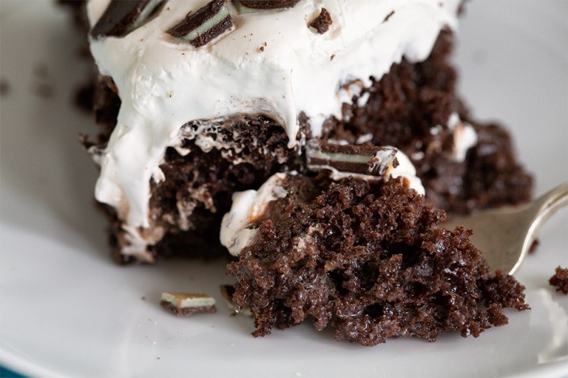 Moist, chocolatey and delicious