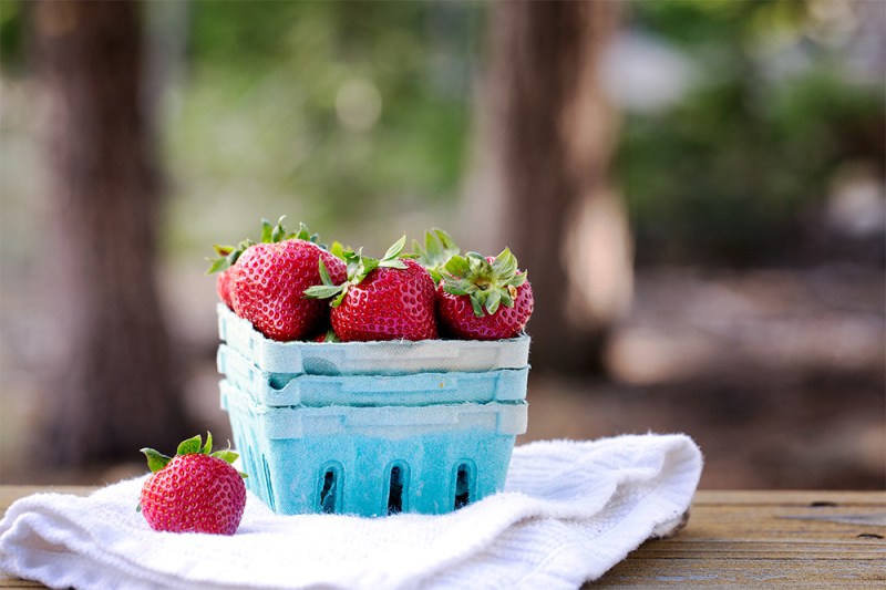 Strawberries in the waiting.