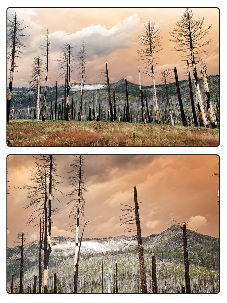 Angora Burn area with smokey clouds.