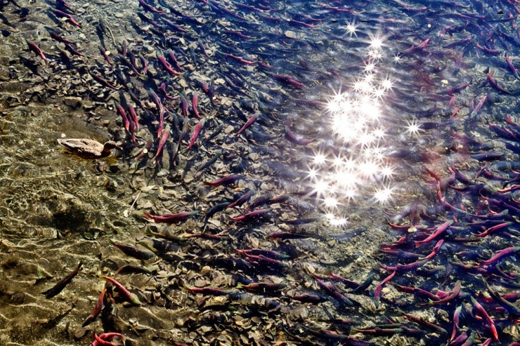 2013 Bee Retreat-28 web