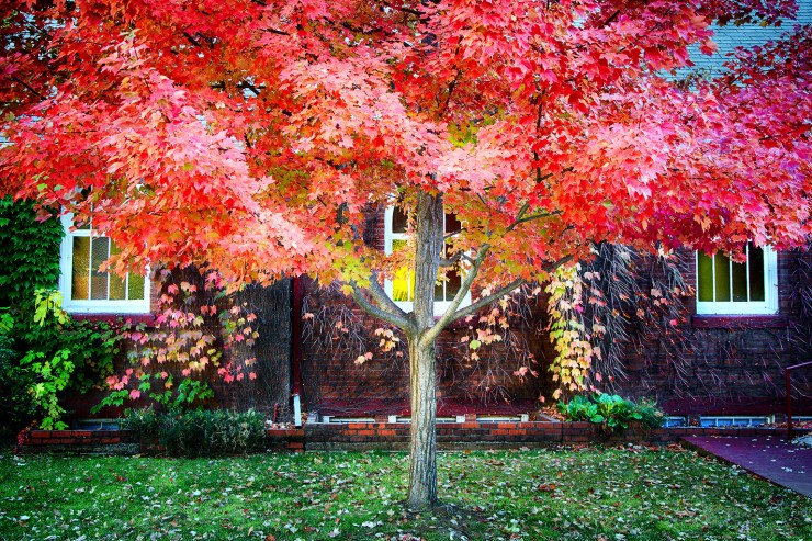 20131101-_LS_8076 web