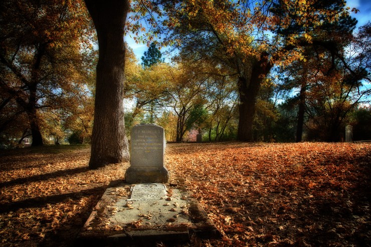 20131107-_R3B8401 HDR1_HDR web