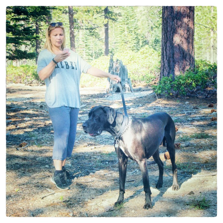 My girlfriend and her giant dog, Nitro, on our morning walk