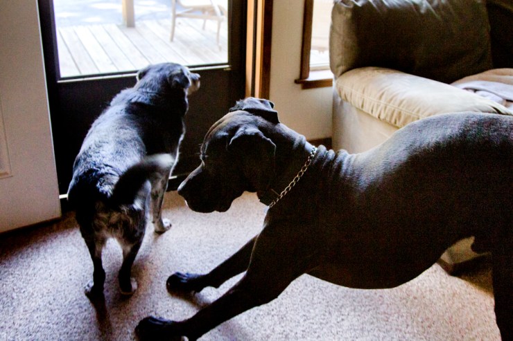 Nitro pays homage to Obie