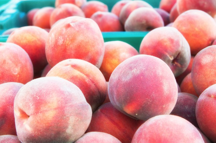 20140826-33-Edit-web