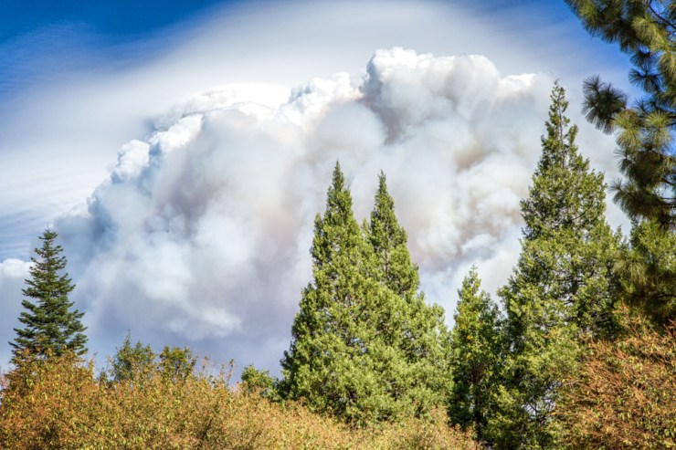 The fire from my home.