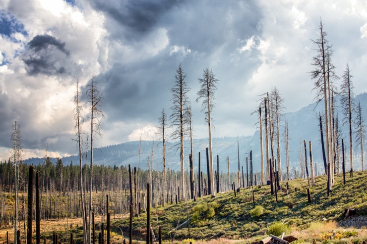 Angora Fire area with smoke rising behind from King Fire