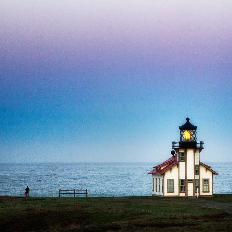 Asian Meatballs blog 7