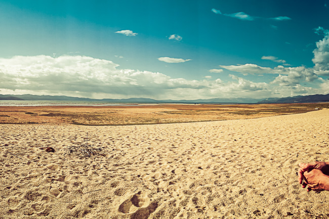 The old waterline and the new shoreline
