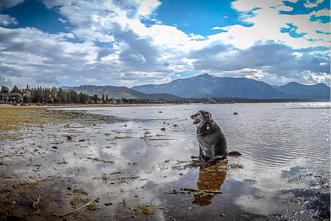 Obie T. Dogg cooling his jets