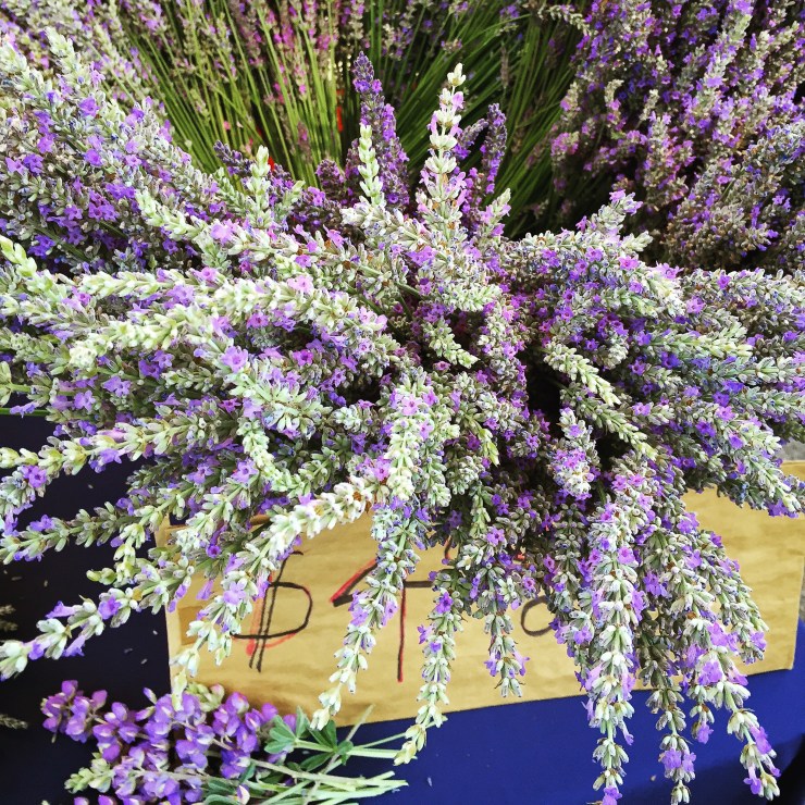 Lavender:  breathe deeply and relax