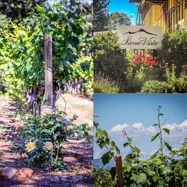 Sierra Vista Winery.