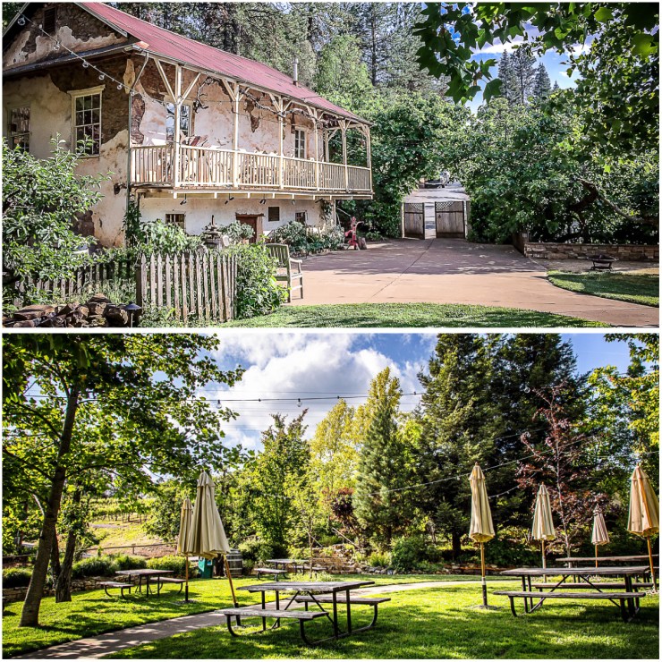 Bodger's original winery (top).  Our view of picnic area (bottom)