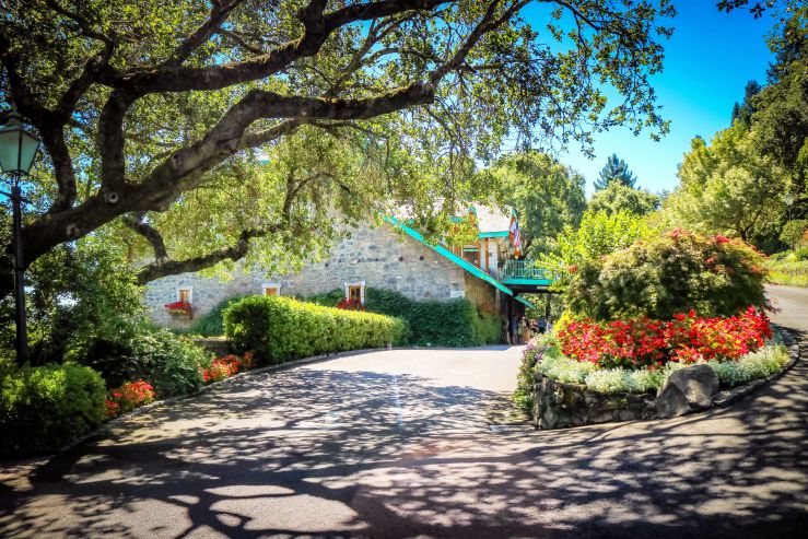 2017 Russian River Vacation-120-2-2.jpg