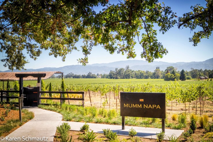 2017 Russian River Vacation-188-2YC blog