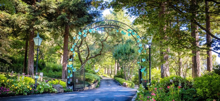 2017 Russian River Vacation-38-2.jpg