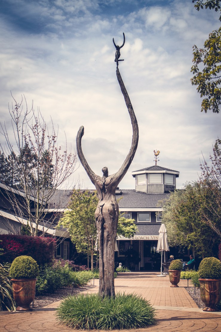 2016 April Napa Sonoma-98