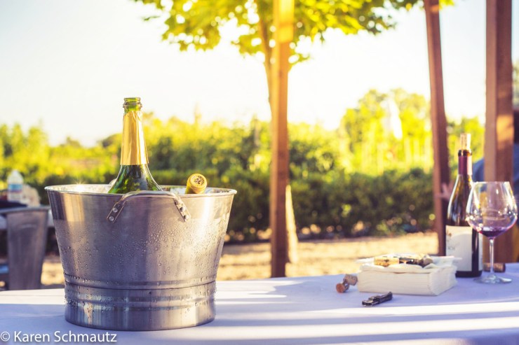 2017 Russian River Vacation-536YC blog