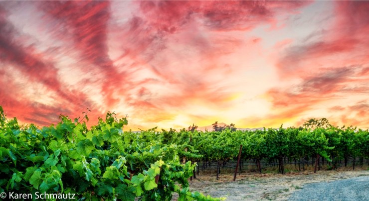 2017 Russian River Vacation-619YC blog