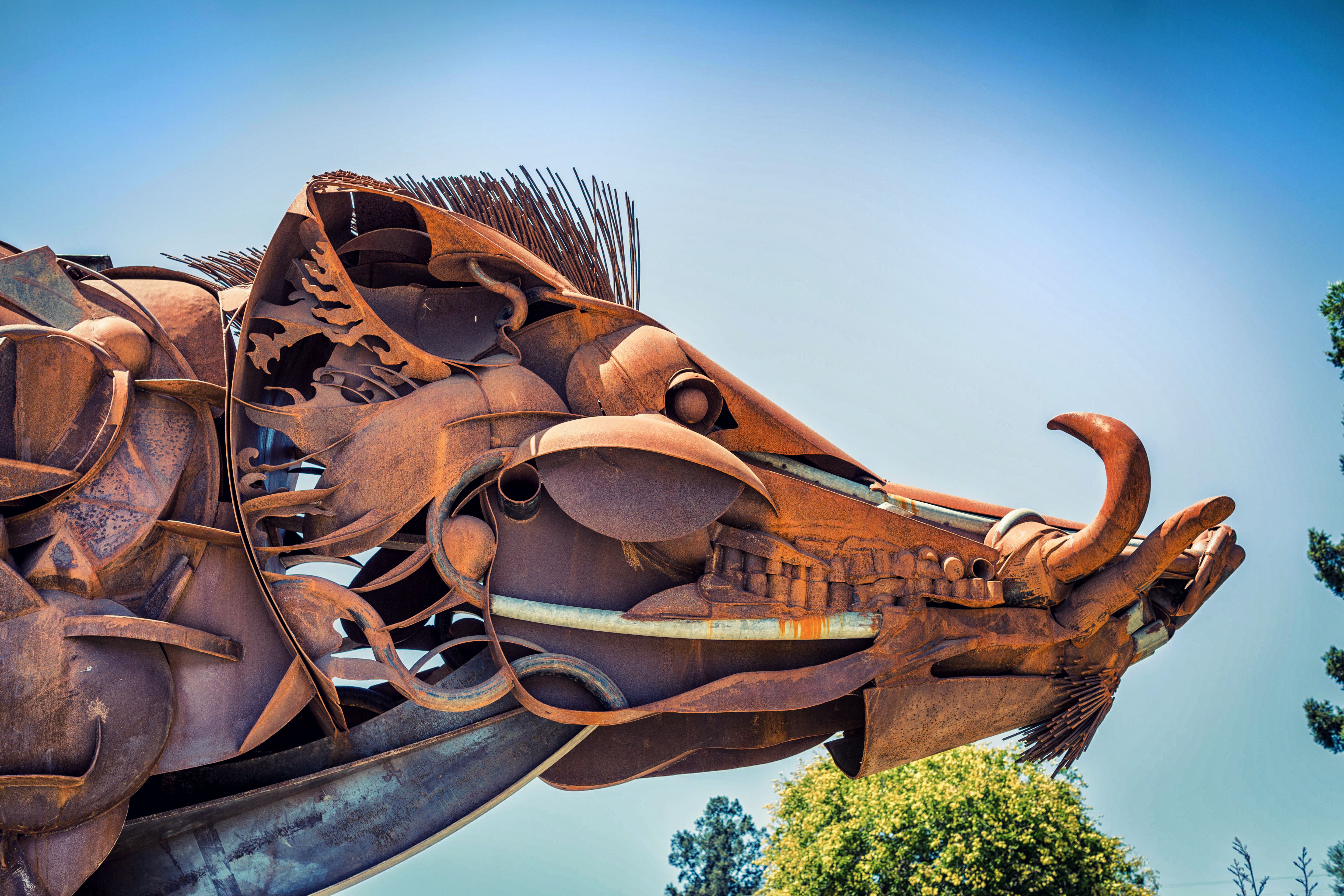 2017 Russian River Vacation-805-2